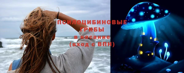 твердый Инсар