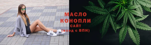 твердый Инсар