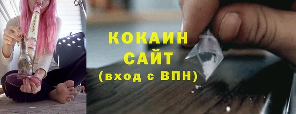 твердый Инсар