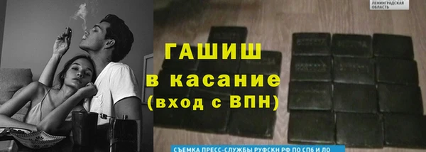 твердый Инсар
