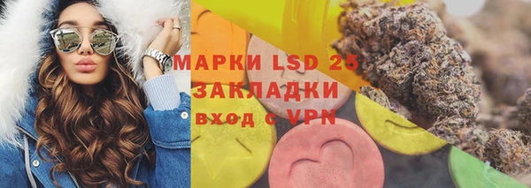 твердый Инсар
